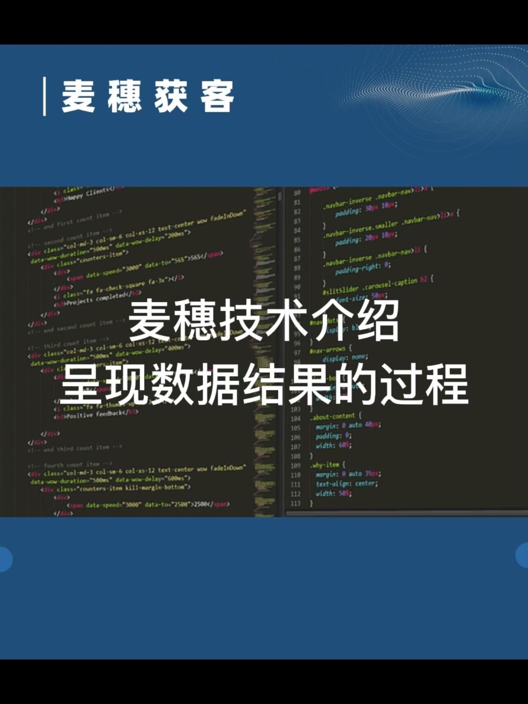 麦穗技术介绍呈现数据结果的过程